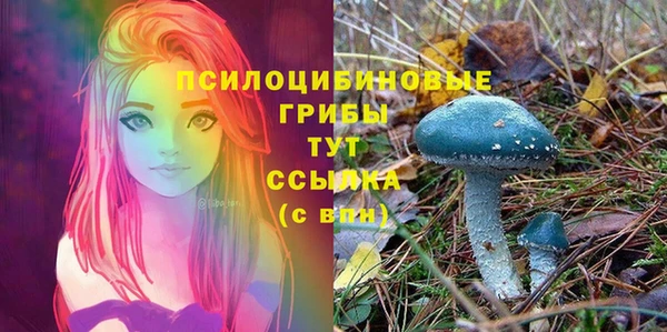 MDMA Богданович
