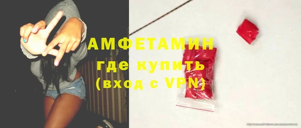 сатива Богородицк