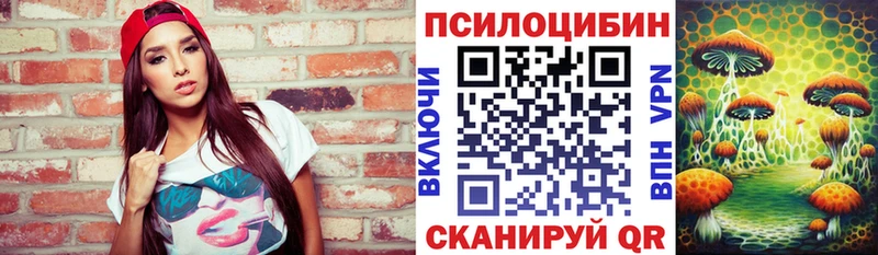 Псилоцибиновые грибы Cubensis  закладки  Сибай 